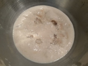 Die Hefelösung ca. 30 Minuten zugedeckt stehen lassen (es bildet sich ein Schaum auf der Oberfläche).