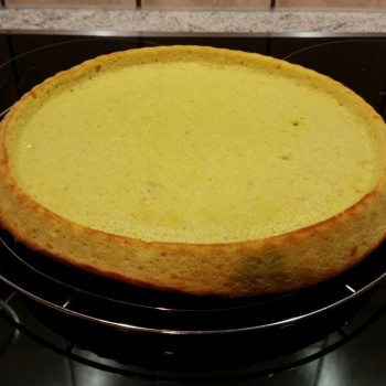 So sieht ein Obstboden aus dem Kuchenzauber aus. Jetzt muss er nur noch lecker belegt werden.