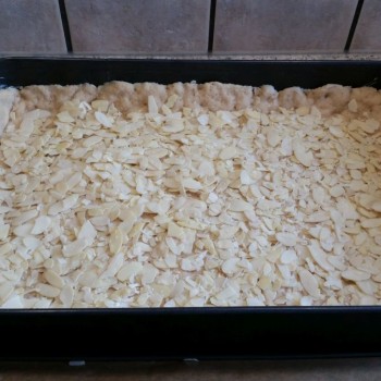 Anschließend die Mandelblättchen gleichmäßig auf dem Teig verteilen.