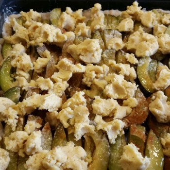 Den Streuselteig mit den Händen in Streusel zupfen, über den Zwetschgen verteilen und mit Zimt bestäuben.