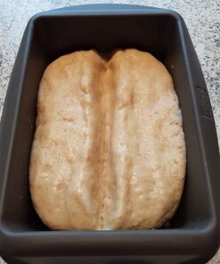 Toastbrot low-carb glutenfrei sojafrei eiweissbrot Paleo Backmischung Brot keto