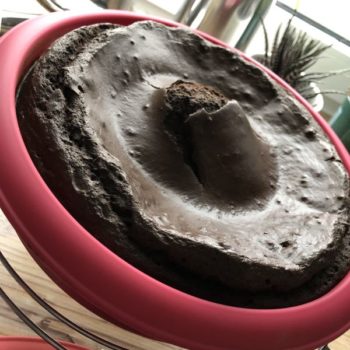 Rezept Schokoladentorte mit Erdbeer-Ricotta-Joghurt-Füllung lowcarb glutenfrei