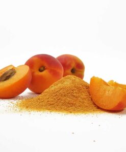 Fruchtpulver APRIKOSE Aprikosenpulver gefriergetrocknet 100% Natur