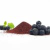 Fruchtpulver WILDE BLAUBEERE Blaubeerpulver gefriergetrocknet 100% Natur