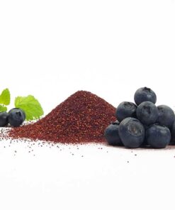 Fruchtpulver WILDE BLAUBEERE Blaubeerpulver gefriergetrocknet 100% Natur