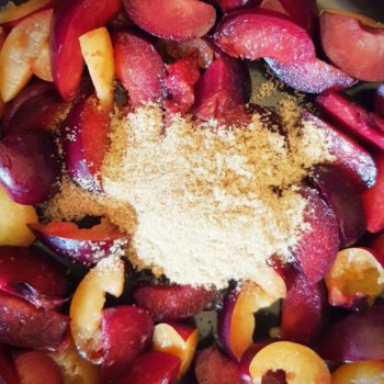 Rezept Buttermilch Quark Pflaumenterrine lowcarb kalorienarm