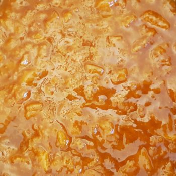 Rezept Aprikosen Marillen Sirup lowcarb