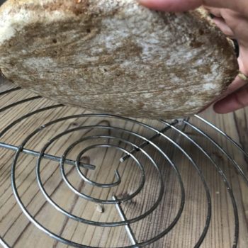 Rezept Galette mit Früchten und Kollagen lowcarb glutenfrei