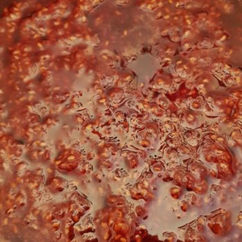 Rezept Himbeer Karamell Sirup lowcarb