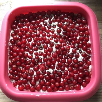 Rezept Johannisbeer-Mohn-Torte lowcarb glutenfrei keto