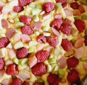 Rezept Himbeer Rhabarber Pudding Kuchen lowcarb glutenfrei keto