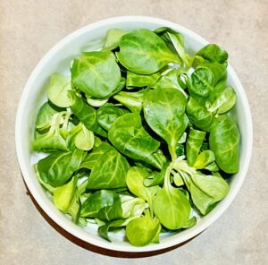 Rezept Styrian Hot Dog lowcarb keto glutenfrei