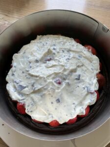 Rezept Maulwurftorte mit Erdbeeren lowcarb keto glutenfrei