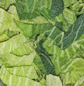 Wirsing Ricotta Quiche mit Speck und Walnüssen low-carb keto glutenfrei